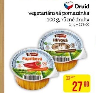 Vegetariánská pomazánka Druid