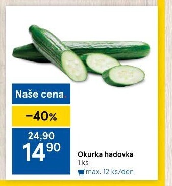 Okurka hadovka
