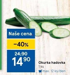 Okurka hadovka