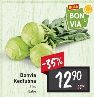 Kedlubna bílá Billa Bonvia