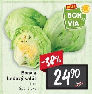 Salát ledový Billa Bonvia
