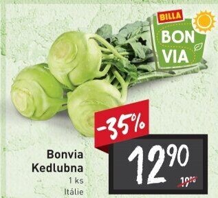 Kedlubna bílá Billa Bonvia