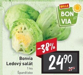 Salát ledový Billa Bonvia