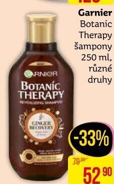 Šampon Botanic Therapy Garnier