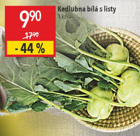 Kedlubna bílá
