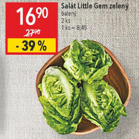 Salát little gem