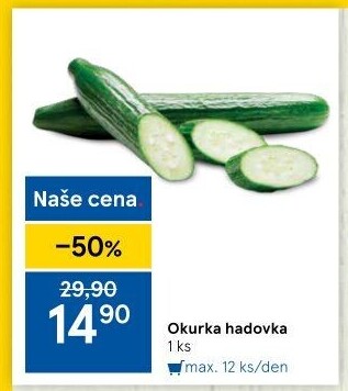 Okurka hadovka
