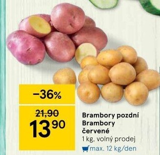 Brambory konzumní pozdní