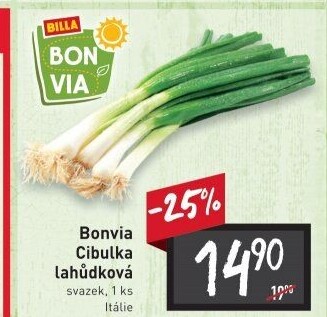 Jarní cibule svazek Billa Bonvia