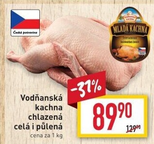 Kachna Vodňanská kachna