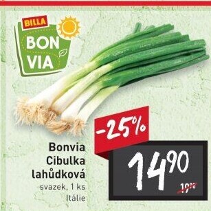 Jarní cibule svazek Billa Bonvia