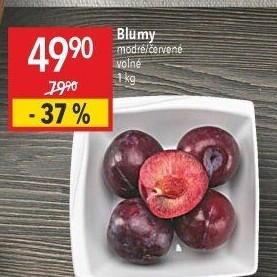 Blumy červené
