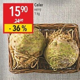 Celer bulva