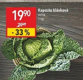 Kapusta hlávková