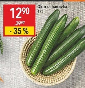 Okurka hadovka