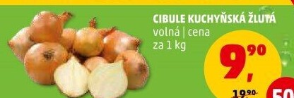 Cibule kuchyňská žlutá