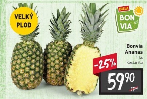 Ananas Billa Bonvia