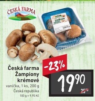 Žampiony krémové Česká farma