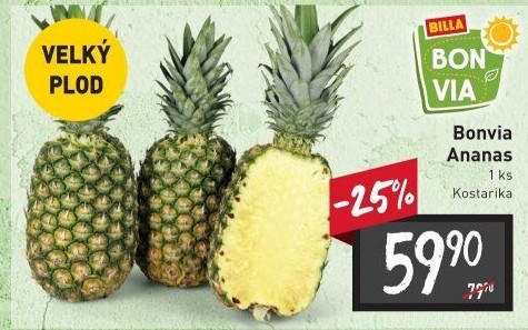 Ananas Billa Bonvia