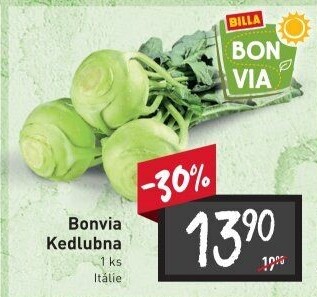 Kedlubna bílá Billa Bonvia
