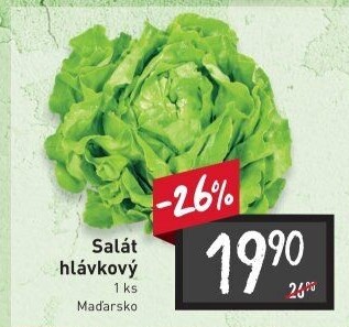 Salát hlávkový