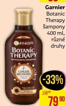 Šampon Botanic Therapy Garnier