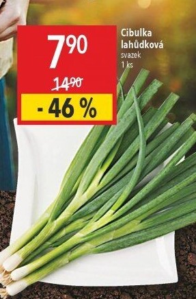 Jarní cibule svazek