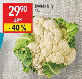 Květák