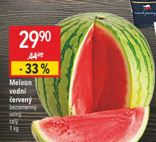 Meloun vodní bezsemenný