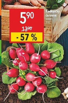 Ředkvičky svazek