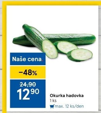 Okurka hadovka