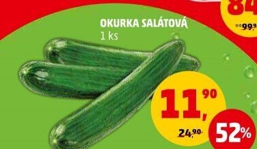 Okurka hadovka