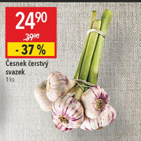 Česnek čerstvý svazek