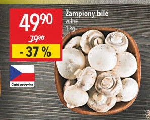 Žampiony bílé