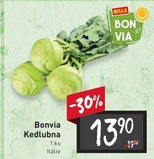 Kedlubna bílá Billa Bonvia