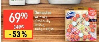 WC bloky Domestos