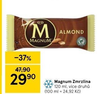 Nanuk Magnum Algida