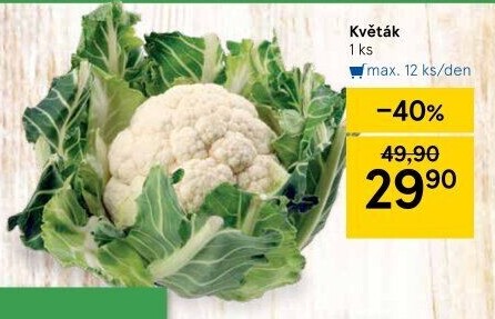Květák