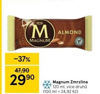 Nanuk Magnum Algida