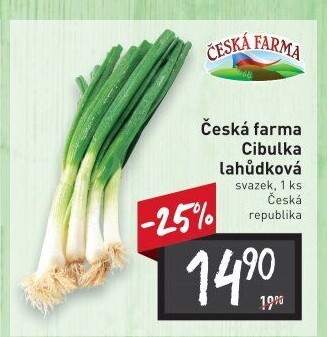 Jarní cibule svazek Česká farma