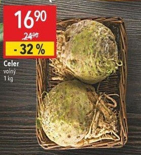 Celer bulva