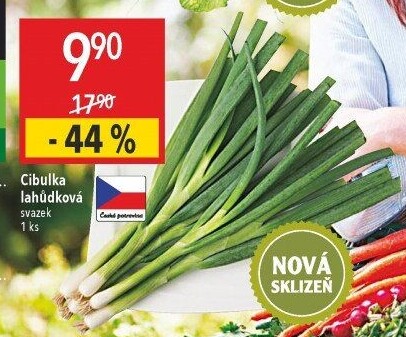 Jarní cibule svazek