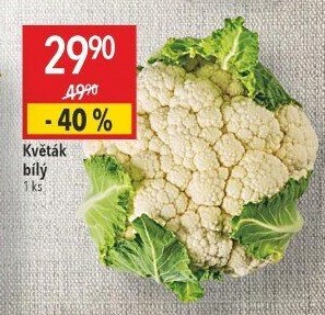 Květák