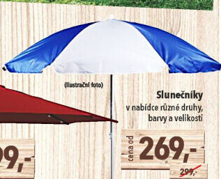 Slunečník