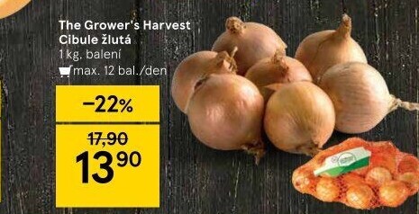 Cibule kuchyňská žlutá The Grower'