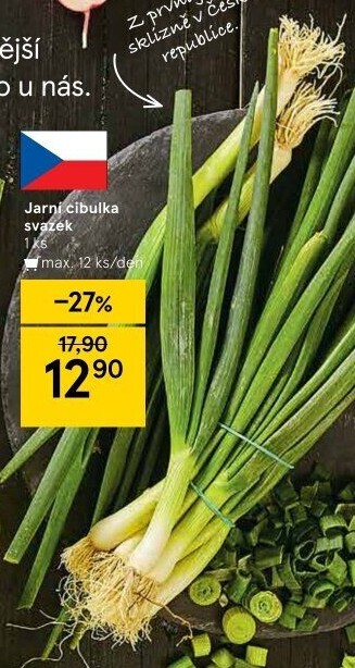 Jarní cibule svazek