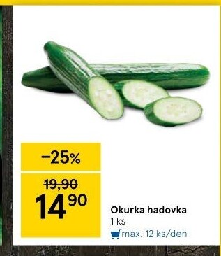 Okurka hadovka