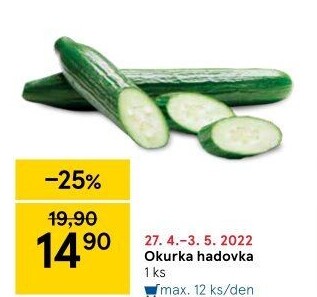 Okurka hadovka