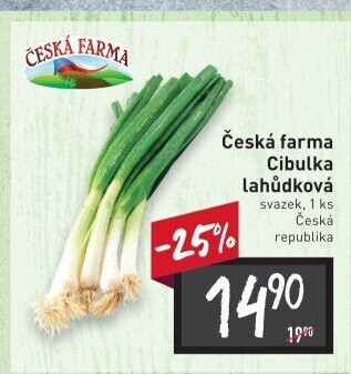 Jarní cibule svazek Česká farma