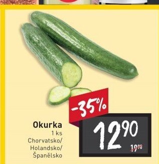 Okurka hadovka
